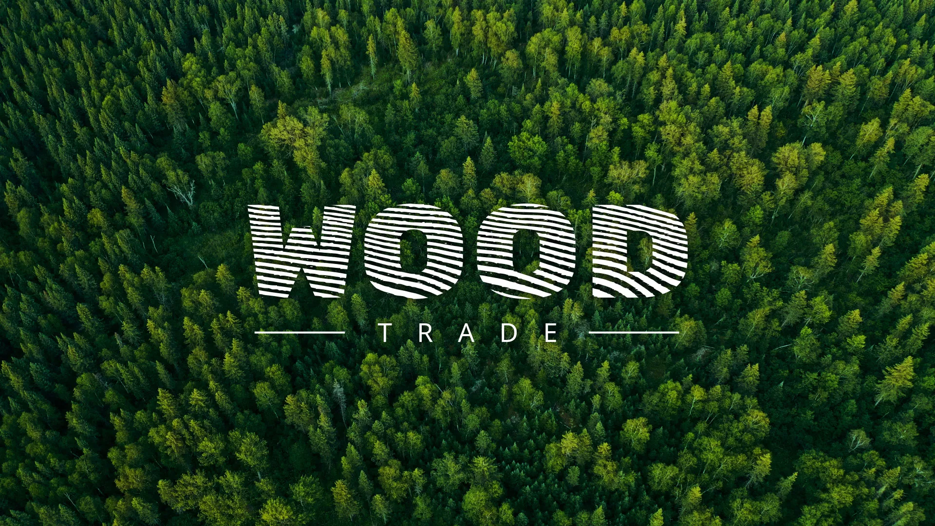 Разработка интернет-магазина компании «Wood Trade» в Сланцах